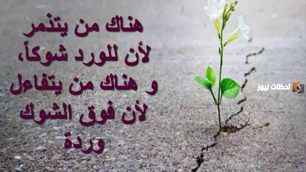 كلمات عن التفاؤل والأمل | عبارات عن التفاؤل