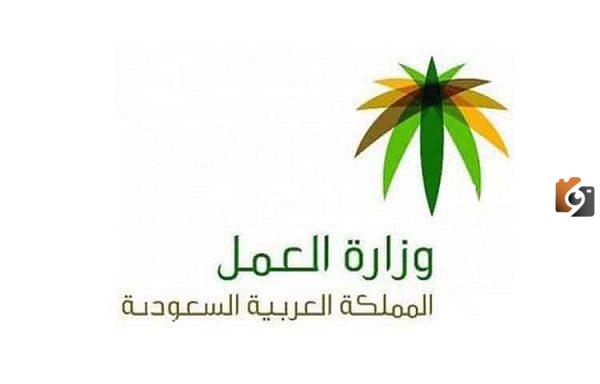 وزارة الموارد البشرية تحذر الموظفين الوافدين إلى المملكة