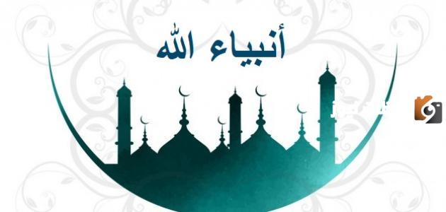 معنى كلمة دَأْبُ الأنبياء وما سبب ذكرها