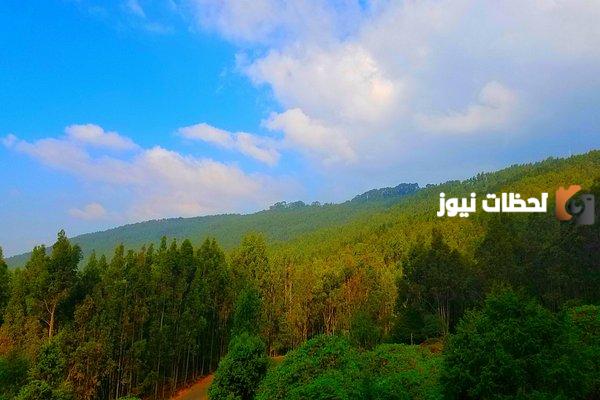 طبيعة السياحة في أديس أبابا