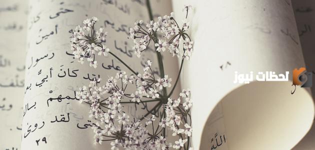 أجمل أبيات الشعر الجاهلي في الحكمة