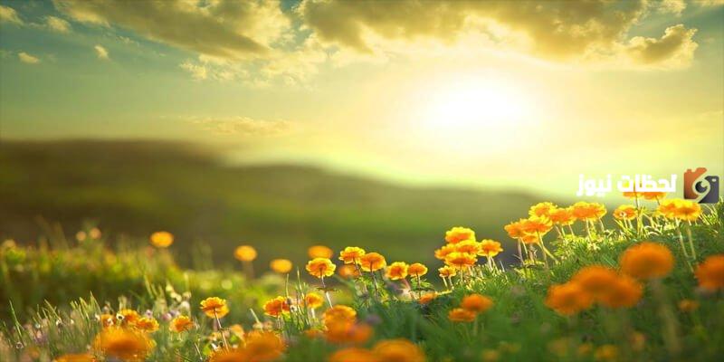 أجمل دعاء صباح | أدعية الصباح