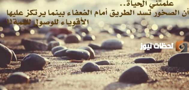 أجمل كلمات في الحياة