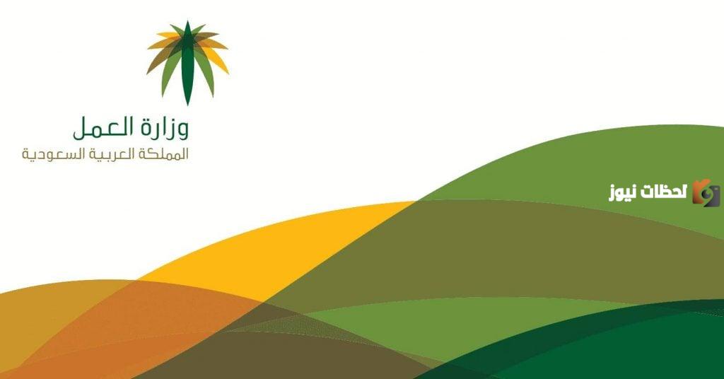 الاستعلام عن نطاق المنشأة