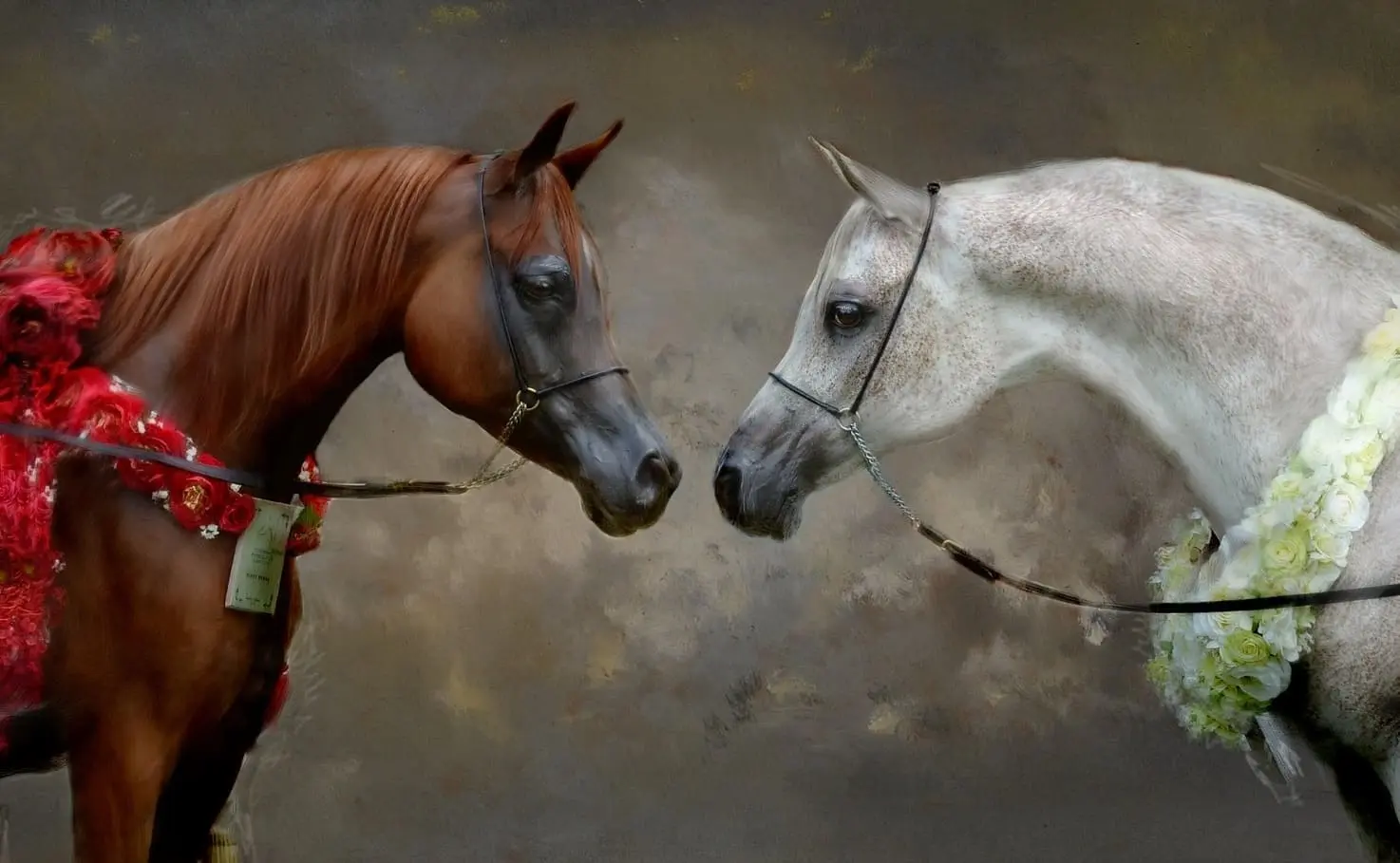 هل الملائكه تظفر شعر الخيل وما علاقة الملائكة بالخيل