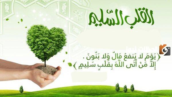 القلب السليم هو الذي يمتلئ ب