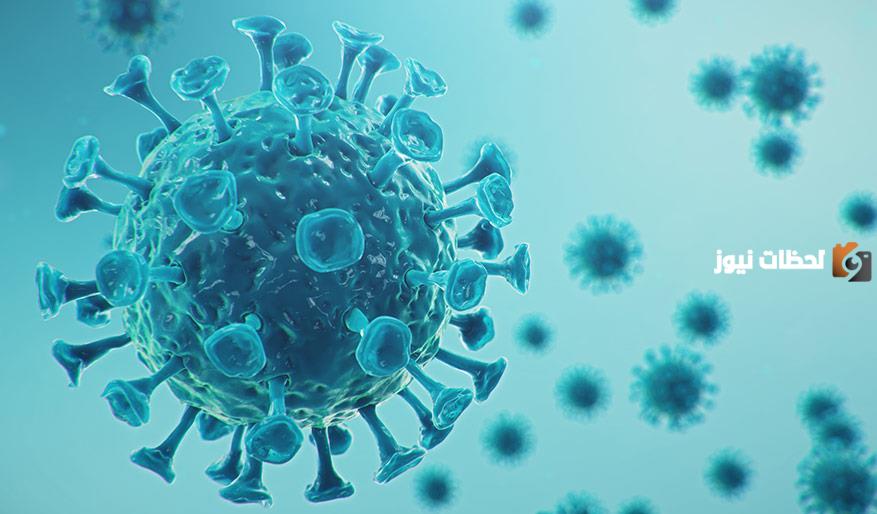 بحث عن الفيروسات كامل العناصر وجاهز للطباعة