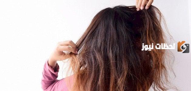 تجربتي مع شامبو ألو ايفا بالصبار للشعر الجاف