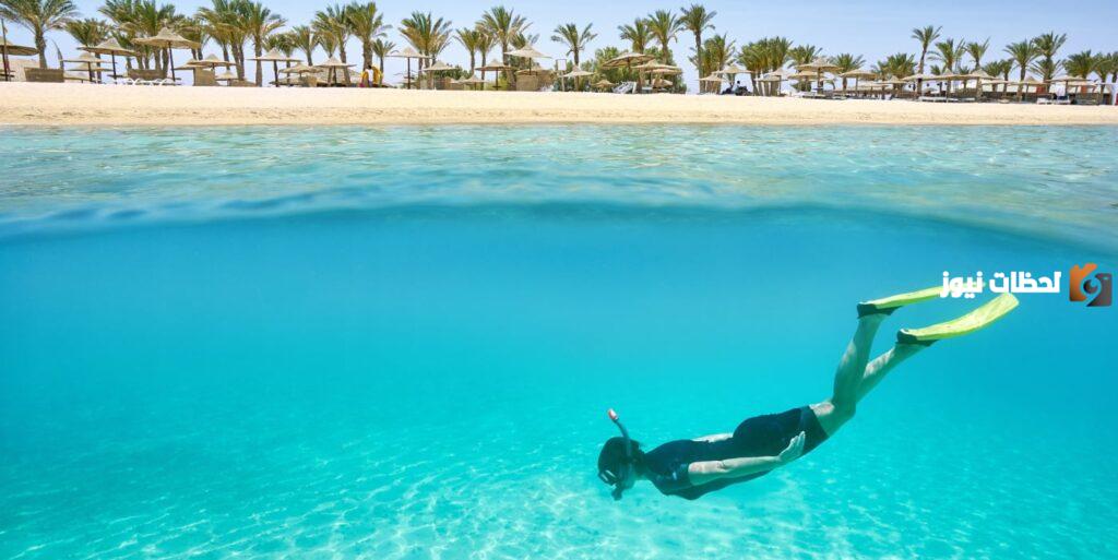 تعرف على أسعار رحلات السفاري في مرسى علم