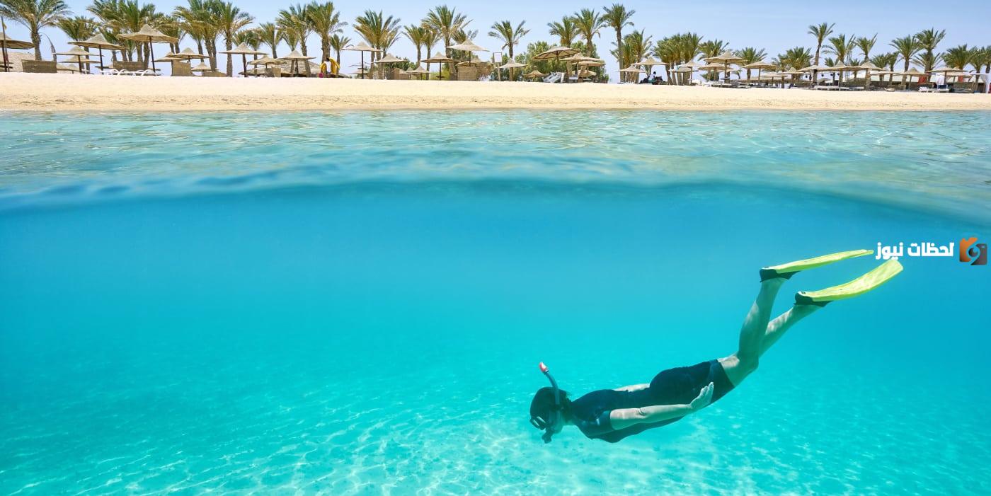 تعرف على أسعار رحلات السفاري في مرسى علم