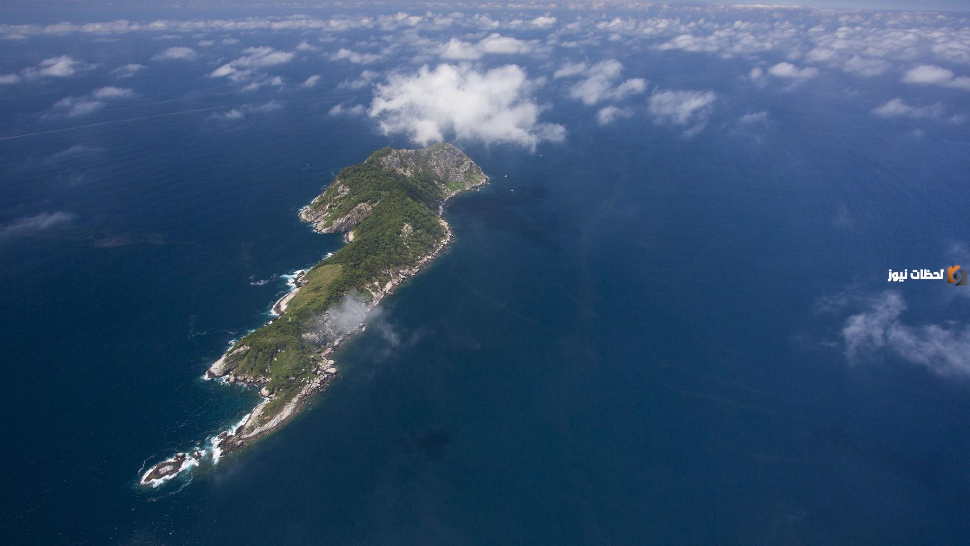 تعرف على جزيرة الثعبان في البرازيل