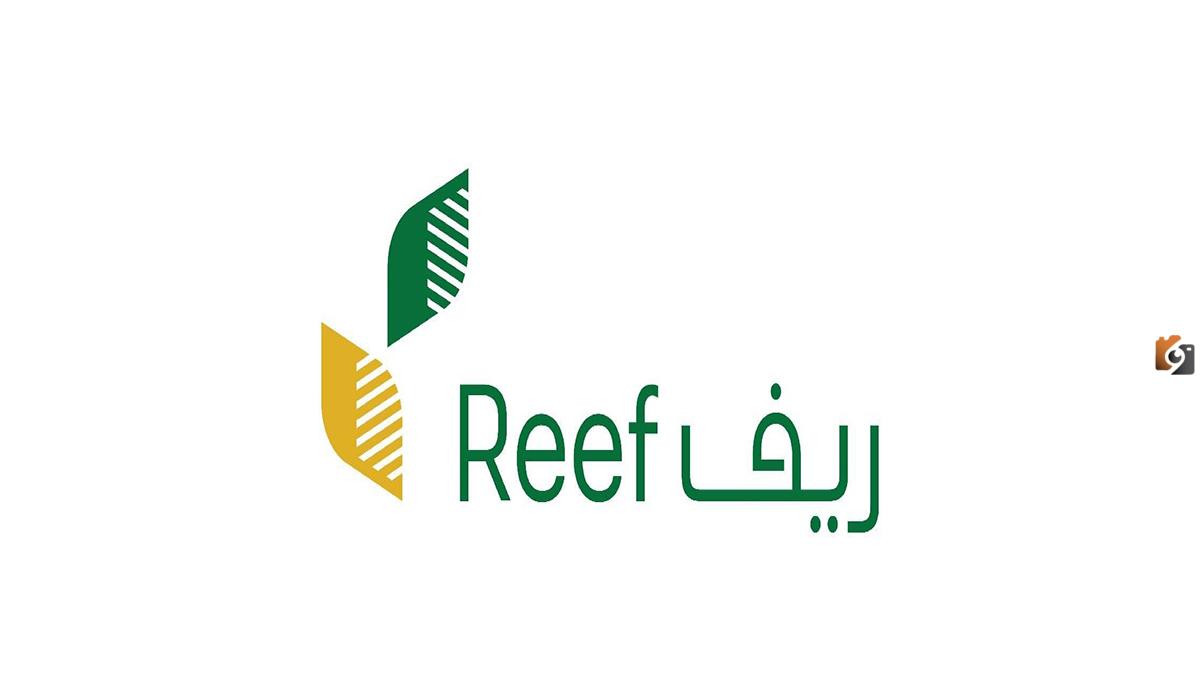 رابط الاستعلام عن دعم ريف وشروط استحقاق الدعم 2025