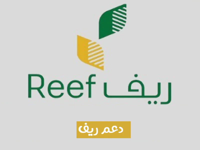 شروط أهلية دعم ريف بعد التعديل ومتى تسقط الأهلية