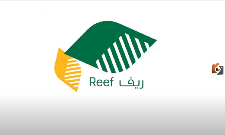 استغل فرصة التمويل الريفي وتعرف على متطلبات وإجراءات التسجيل في برنامج دعم ريف gov.sa 1445