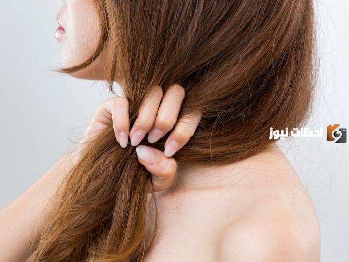 طريقة استخدام شامبو بانتين للشعر الجاف