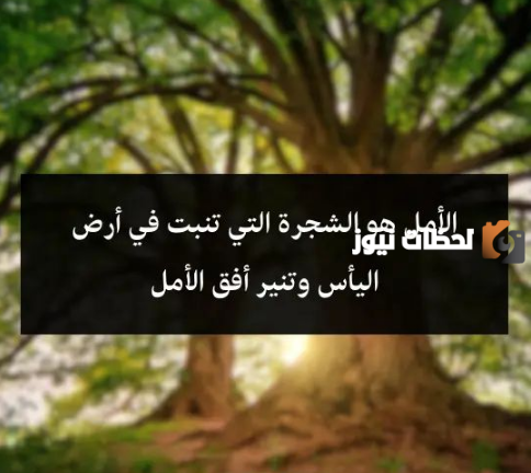 عبارات عن الامل والتفاؤل بالانجليزي