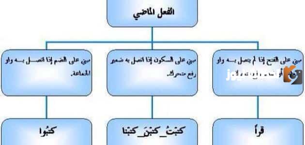 علامات اعراب الفعل الماضي والمضارع والامر