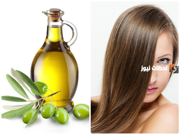 فوائد زيت الزيتون للشعر