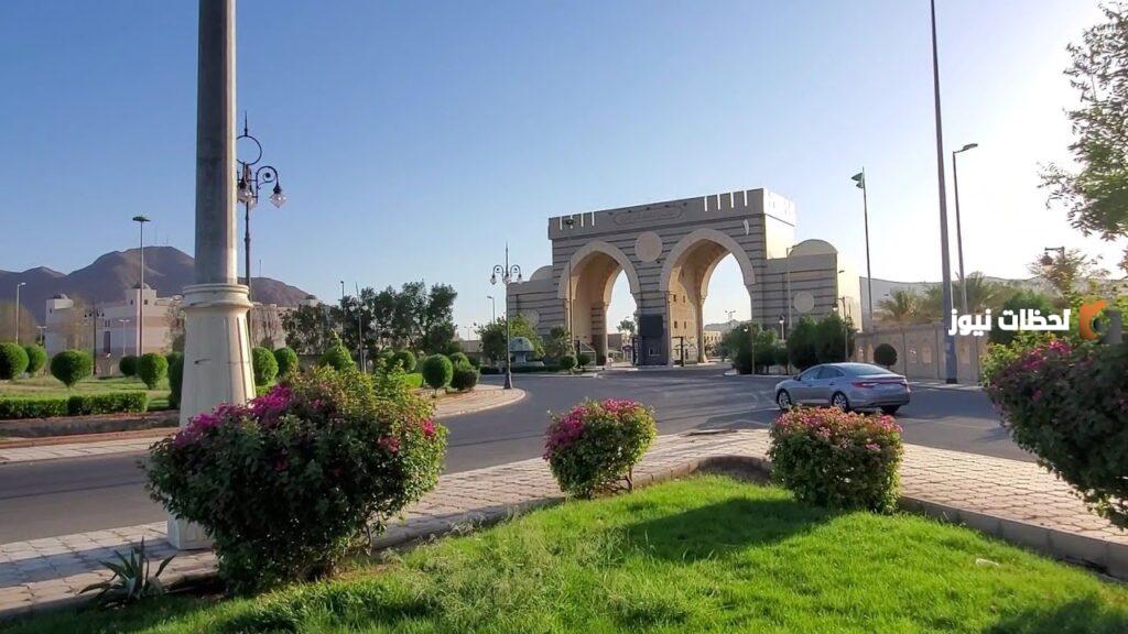 كم نسب القبول في الجامعات الإسلامية بالمدينة المنورة