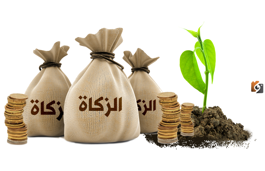 كيف أخرج زكاة المال وكم نصاب المال الواجب فيه الزكاة
