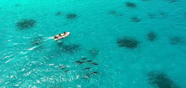 ما هي المحميات الطبيعية الموجودة في مرسى علم