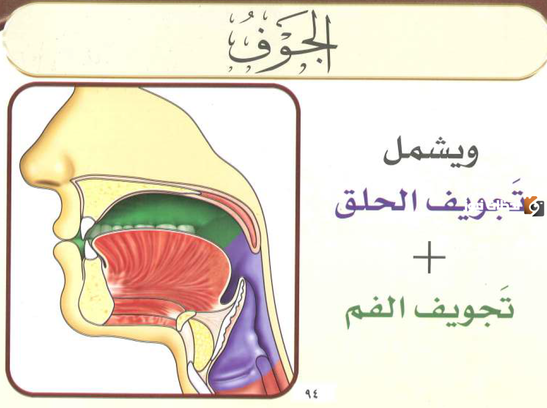 ما هي حروف الجوف في علم التجويد