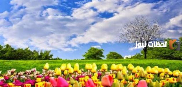 موضوع تعبير عن فصل الصيف للصف الرابع الابتدائي
