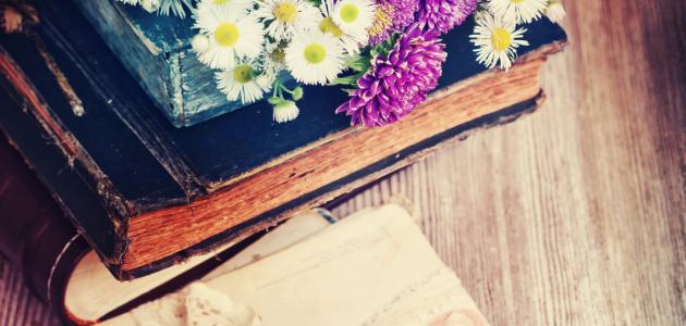 أجمل أبيات الغزل الفصيح.. أيا رفيقةَ دربي لو لديّ سوى عمري لقلتُ فدى عينيكِ أعماري