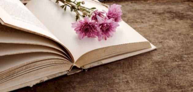 أجمل أبيات الغزل الفصيح.. أيا رفيقةَ دربي لو لديّ سوى عمري لقلتُ فدى عينيكِ أعماري