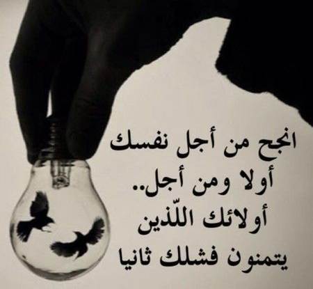 أجمل الحكم في الحياة لا تقدر بثمن3