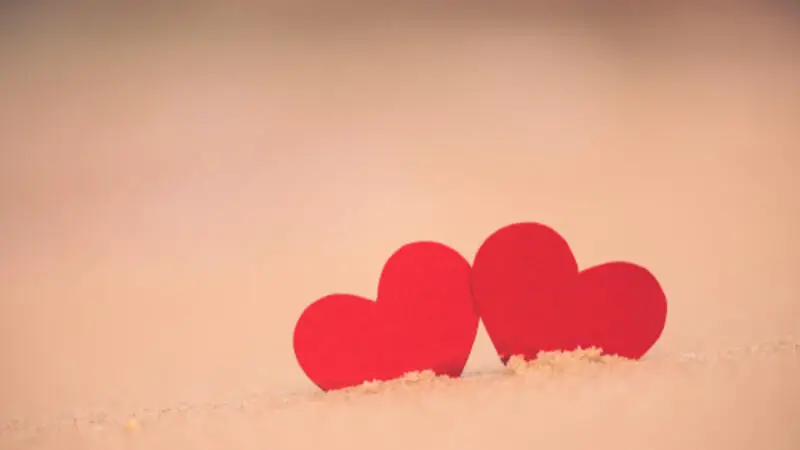 أجمل كلام أحلام مستغانمي عن الحب3