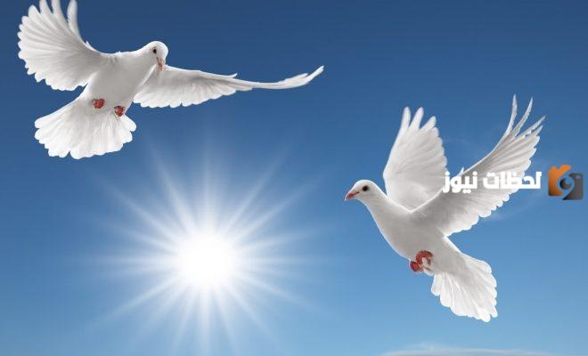 أحاديث عن العفو وأجمل ما قيل في التسامح