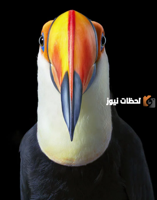 أنواع الطيور المهددة بالانقراض