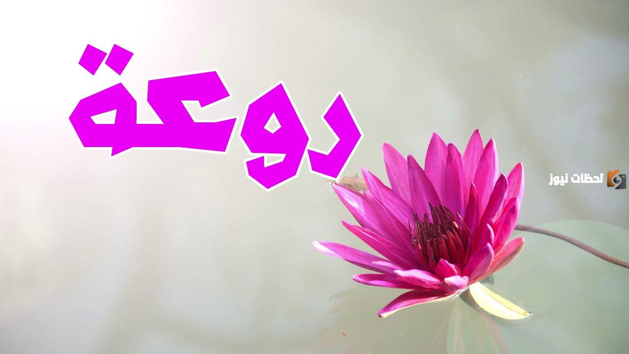 إذا أحد قال روعه ايش أرد عليه