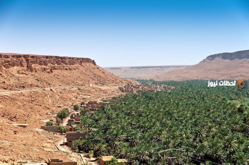 إليك أهم معلومات عن الواحات المغربية