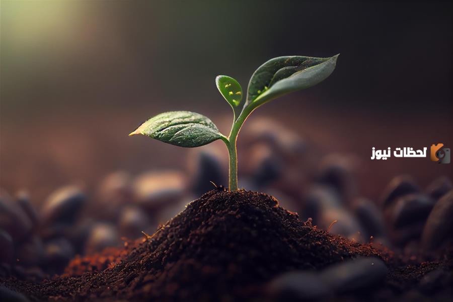 التربة ومكوناتها وأهميتها وطرق حمايتها وأبرز خصائصها وأنواعها