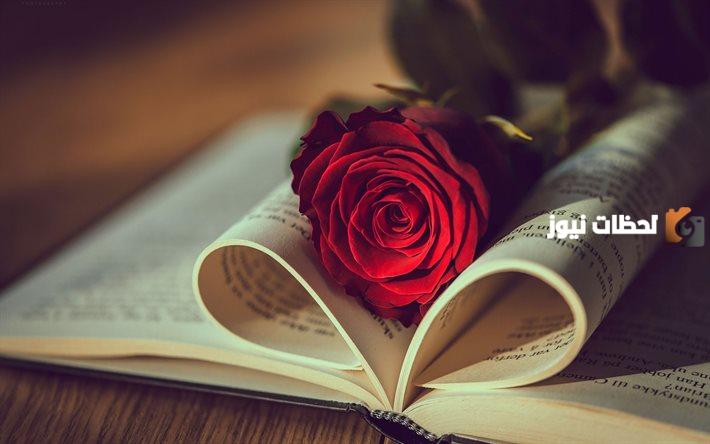  الرد على يسعد صباحك بكل خير حبيبي تويتر