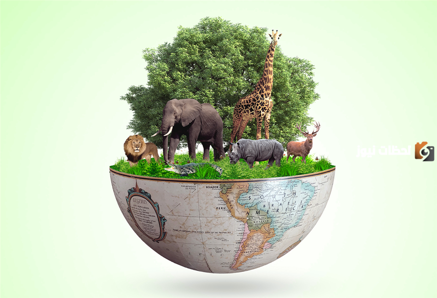 بحث عن تنوع الثدييات دراسة مرجعية كاملة