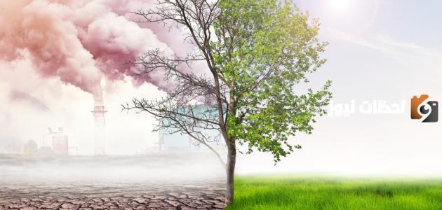  أضرار التلوث على النباتات