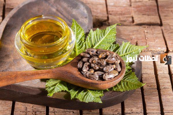 تعرف على كيفية استخراج زيت الخروع واستخداماته