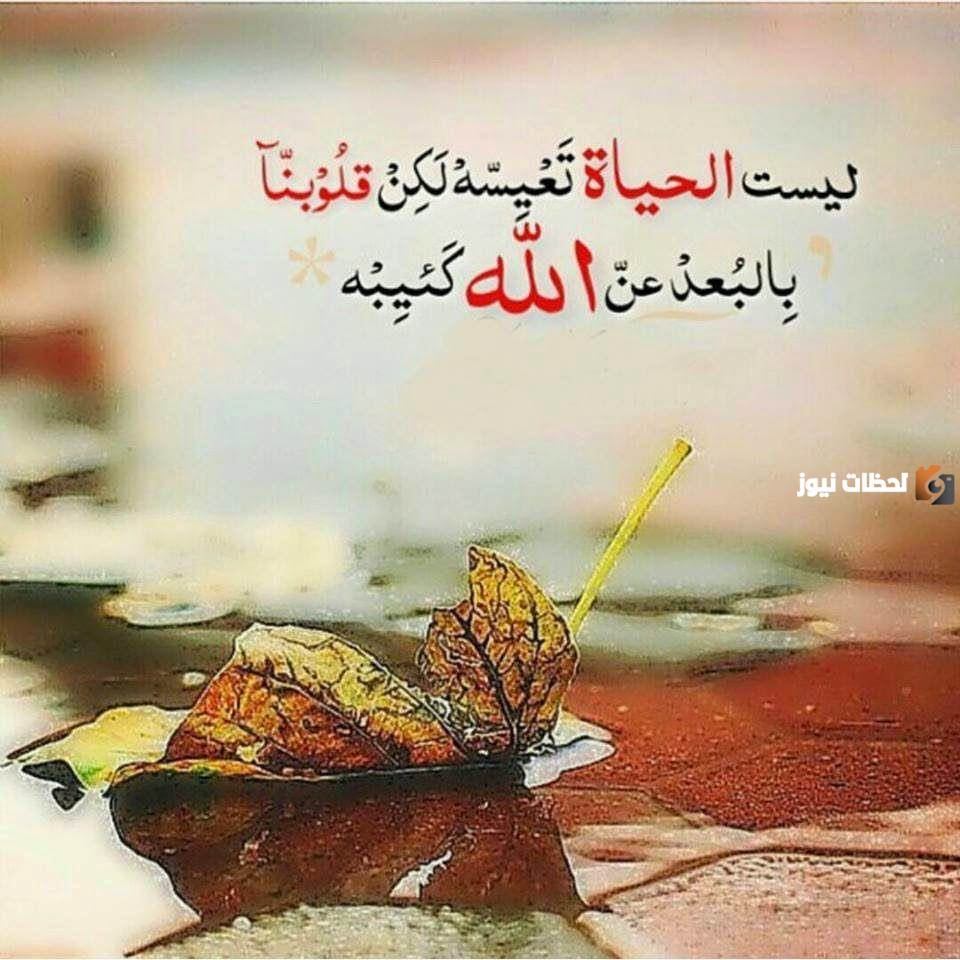 خواطر إيمانية جميلة تنزل السكينة والراحة على القلب