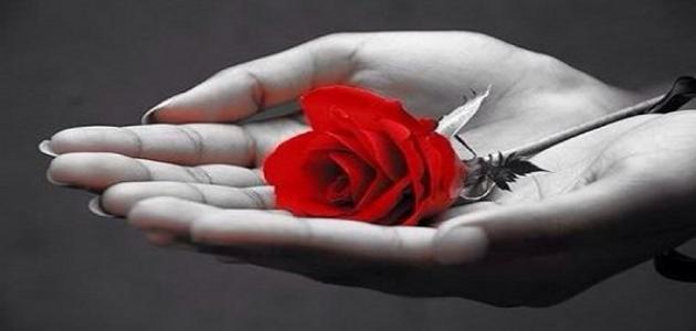 خواطر اشتياق قصيره للحبيب 3