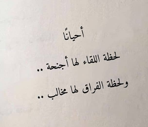 خواطر اللقاء الأول بعد طول غياب وفراق