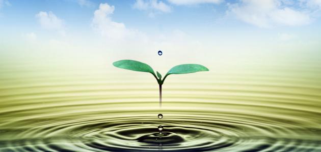 خواطر عامة وعذب الكلام عن الحياة 