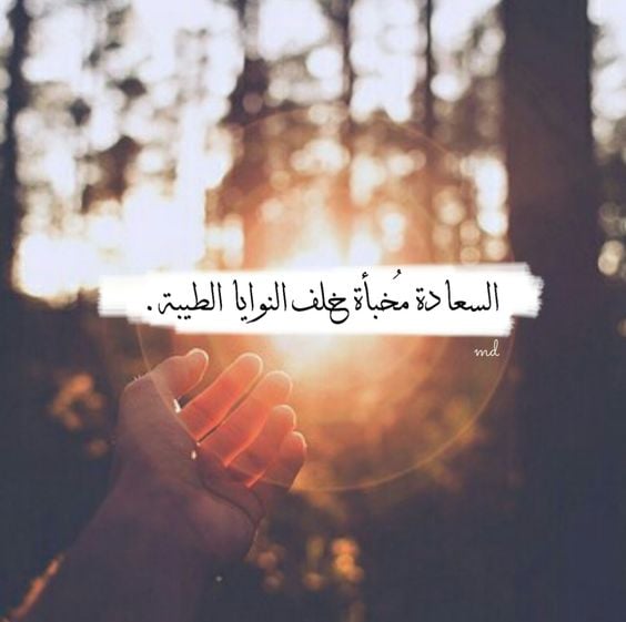 خواطر عن الفرح والشعور بالسعادة3