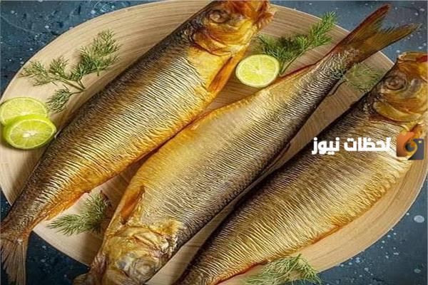 دراسة جدوى مشروع إنتاج الرنجة وطرق التسويق الناجحة