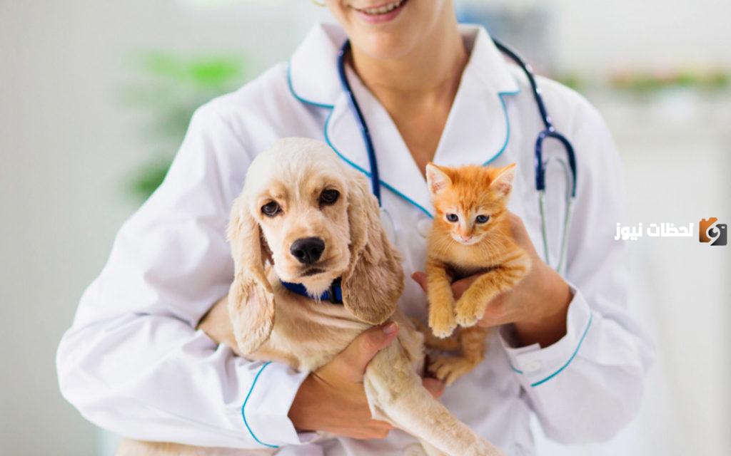 دراسة جدوى مشروع صيدلية بيطرية وعوامل نجاح المشروع