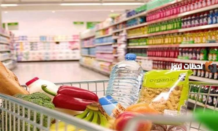 دراسة جدوى مشروع محل سلع تموينية PDF وعوامل نجاح المشروع