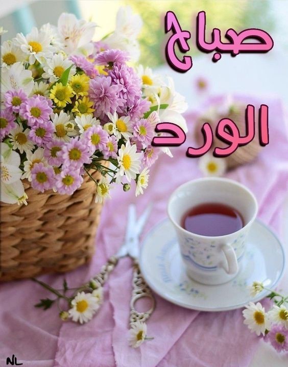 عبارات جميلة وقصيرة عن الصباح وأجمل ما قيل في هذا الوقت من اليوم