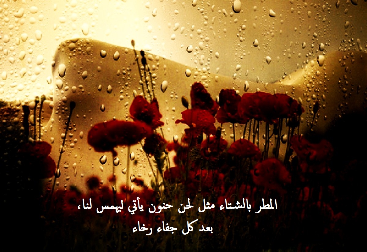 عبارات عن المطر والغيم والحب للواتس